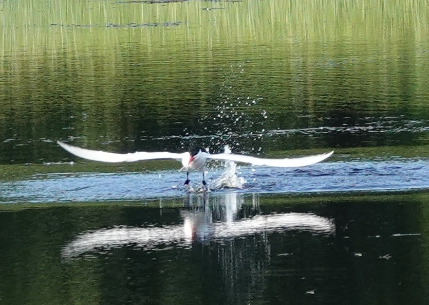 Three Rivers Wildlife Management Area-Baldwinsville必去景点