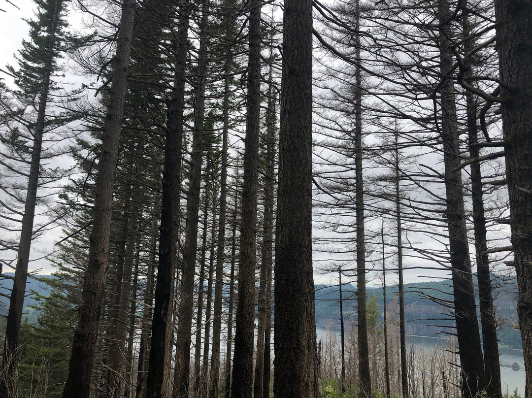 Angels Rest Trail-Bridal Veil必去景点