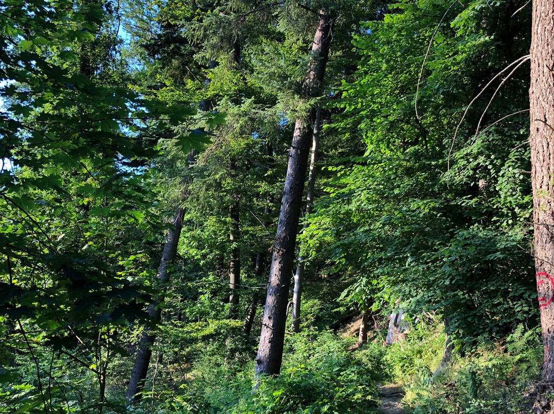 Design Hotel Sauerland主图