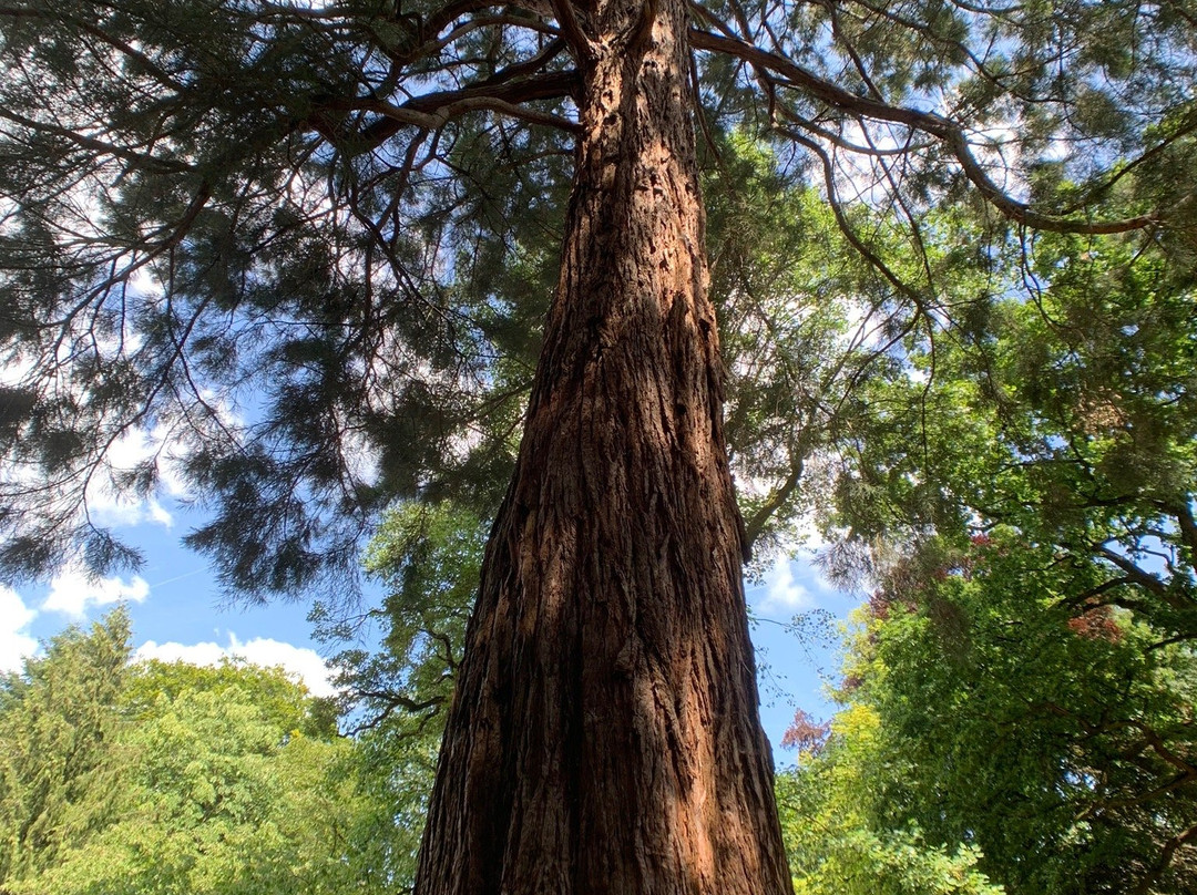Wintertuin Experience-Baarn必去景点