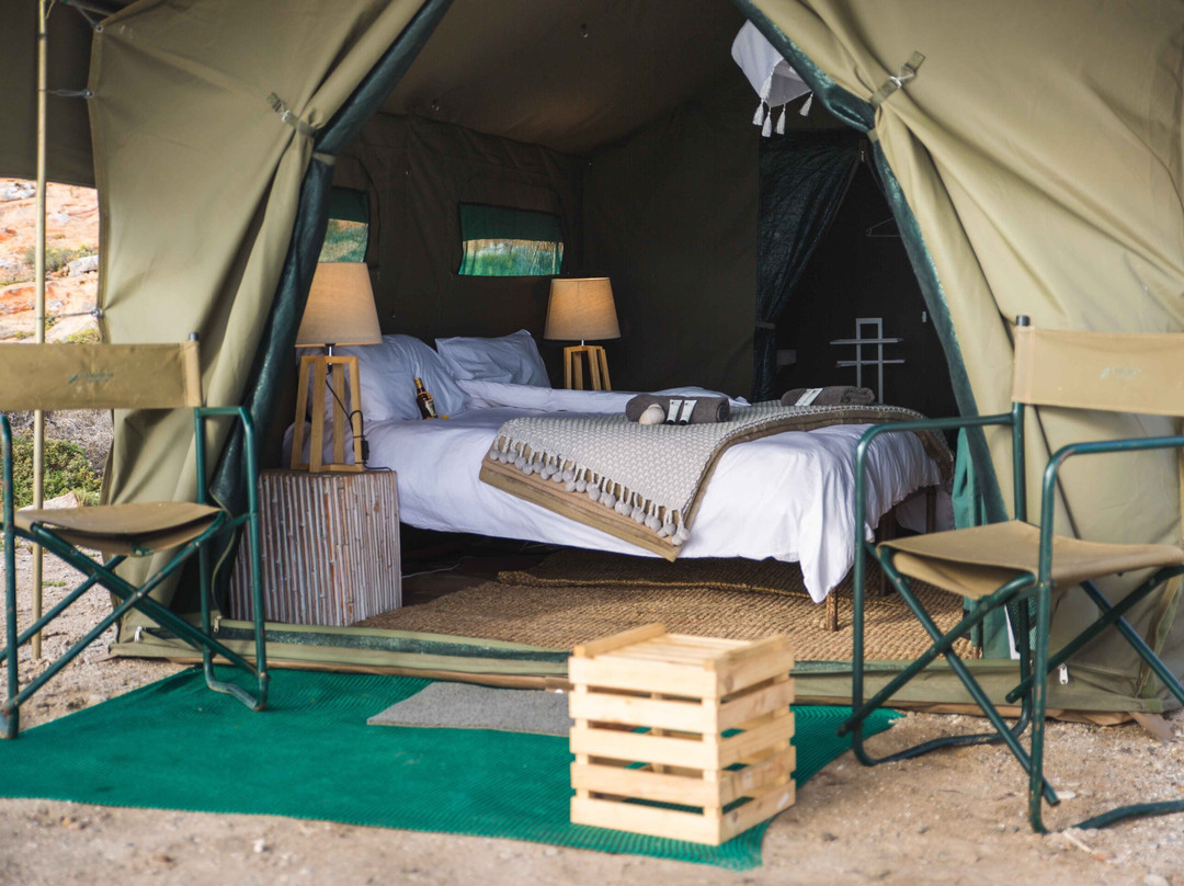 Chiefs - Namaqua Flower Camps