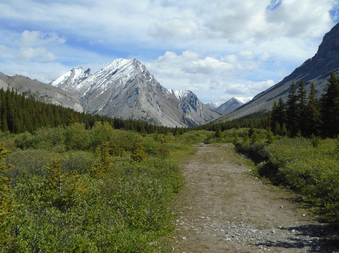 Elbow Lake Trail-卡那那斯基斯必去景点