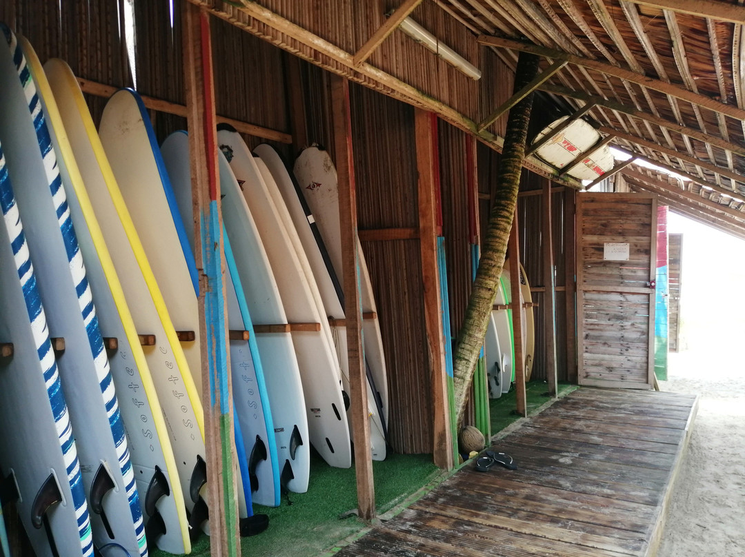 Kame Surf Camp主图