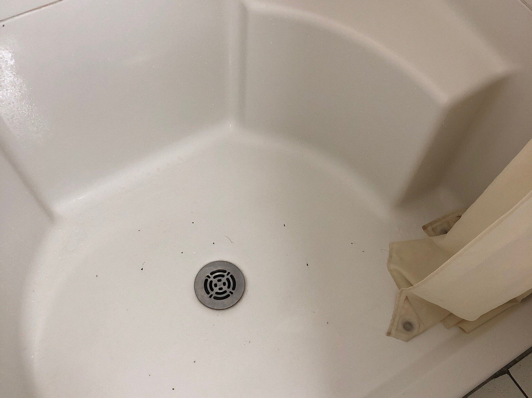 Travel Lodge Great Barrington Mass主图