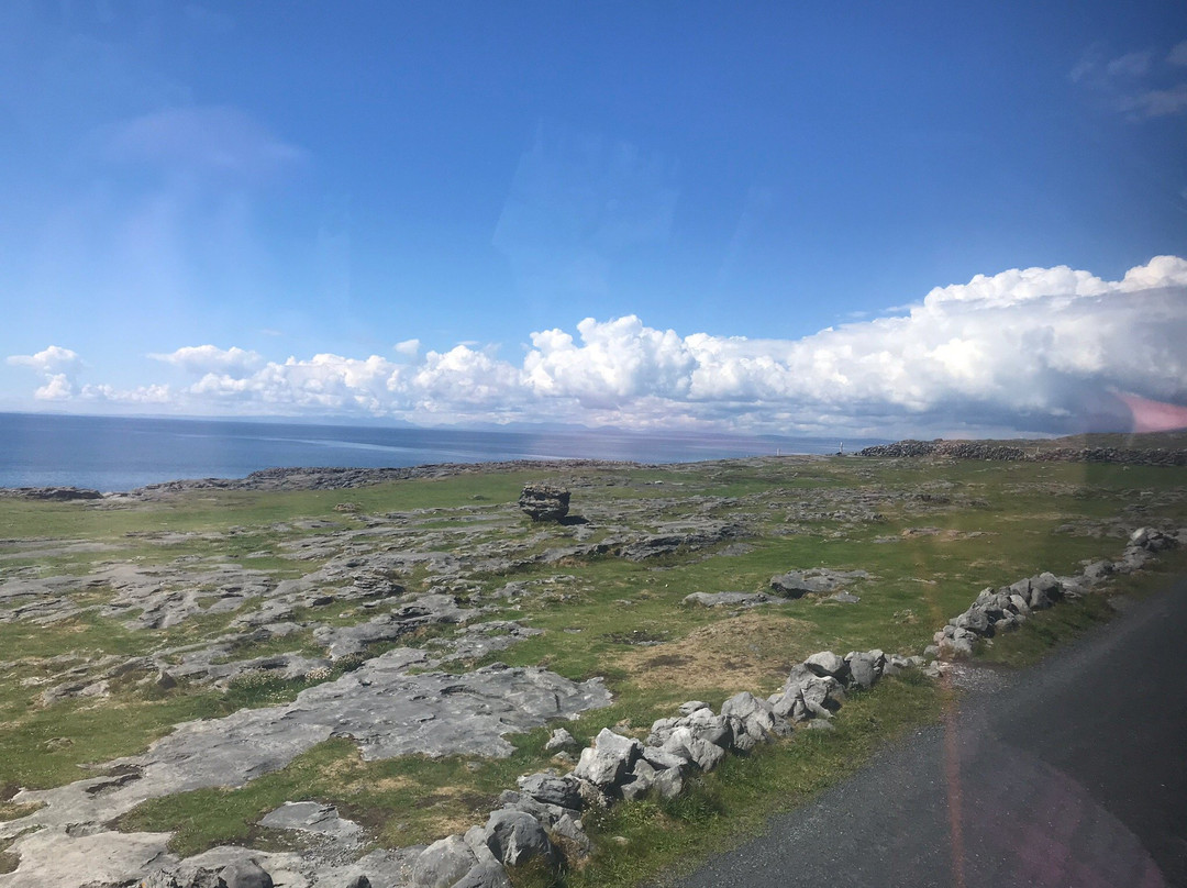 Beauty Of The Burren Walks景点图片