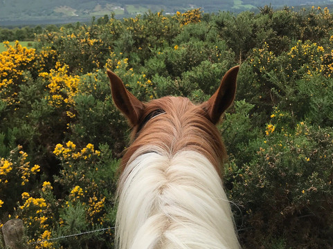 Loch Ness Riding-Dores必去景点