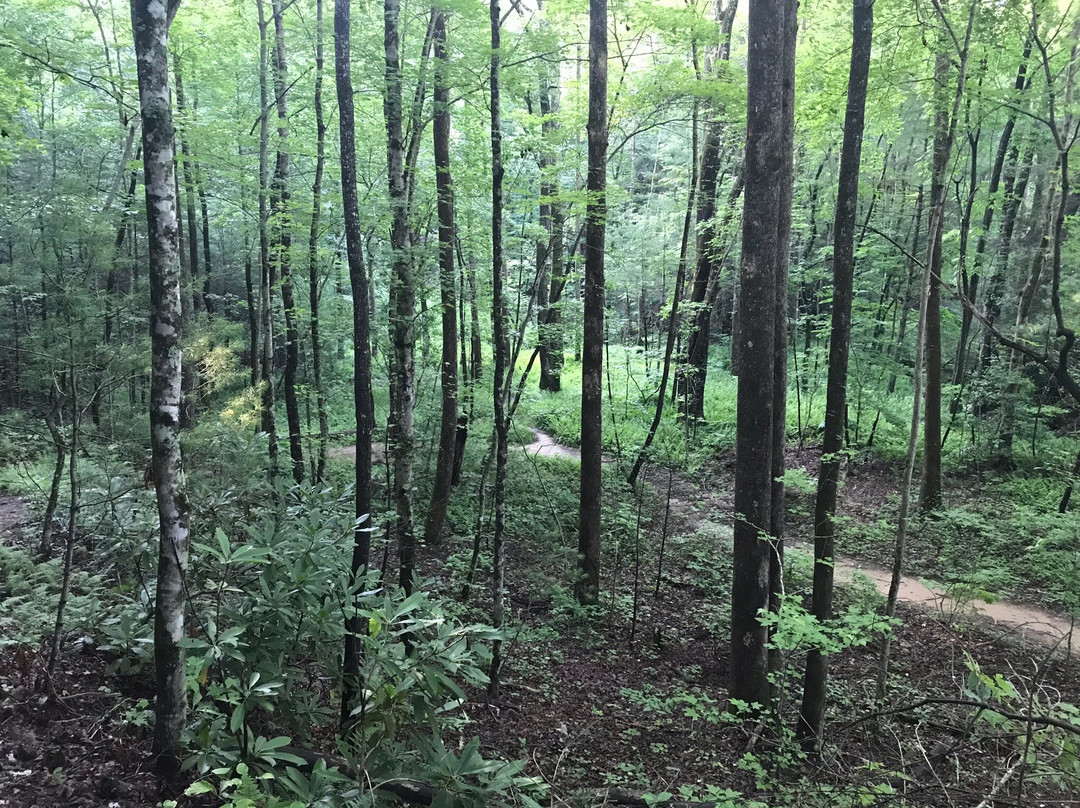 Smithgall Woods Conservation Area-海伦必去景点