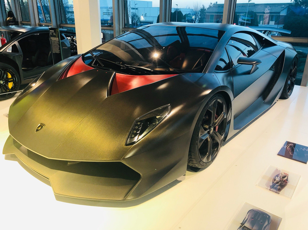 Museo Ferruccio Lamborghini景点图片