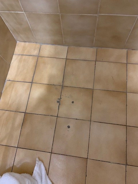 尼罗斯酒店主图