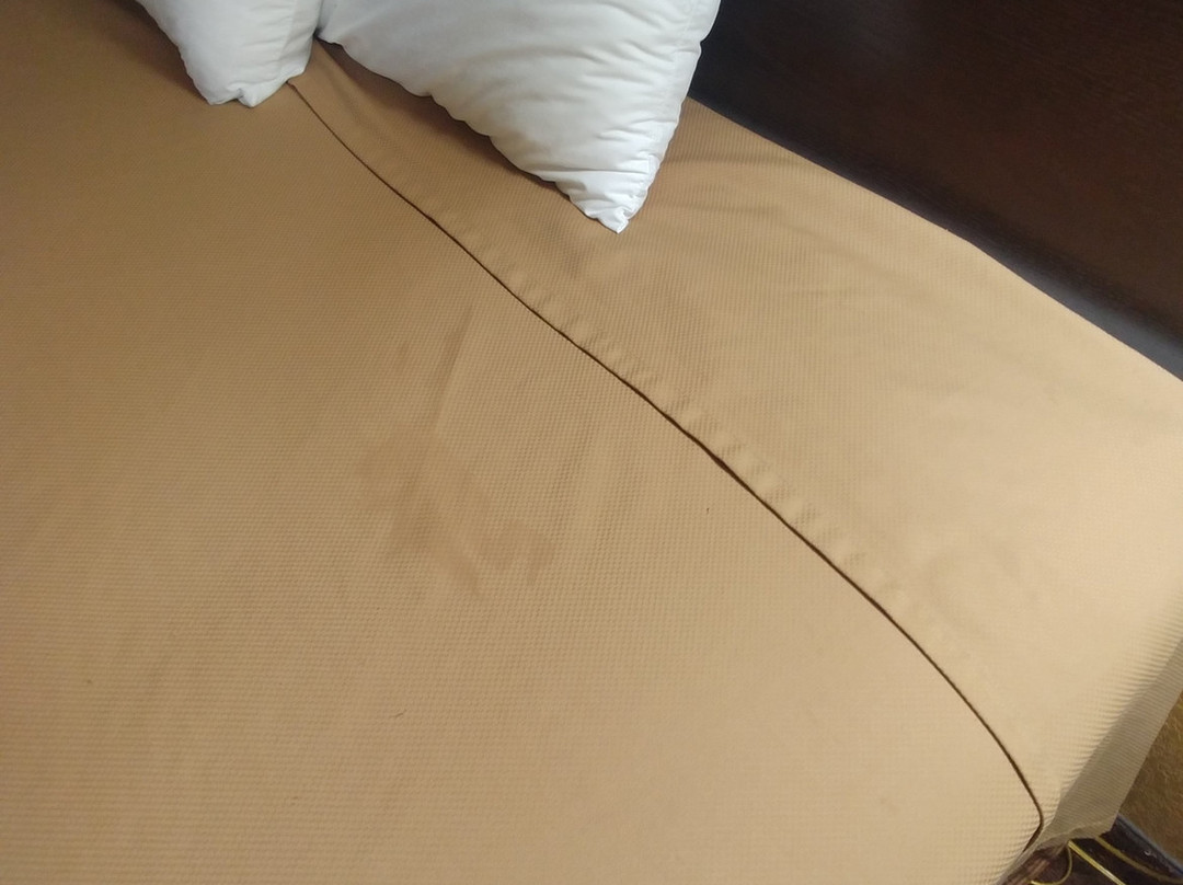 Econo Lodge Inn & Suites Searcy主图