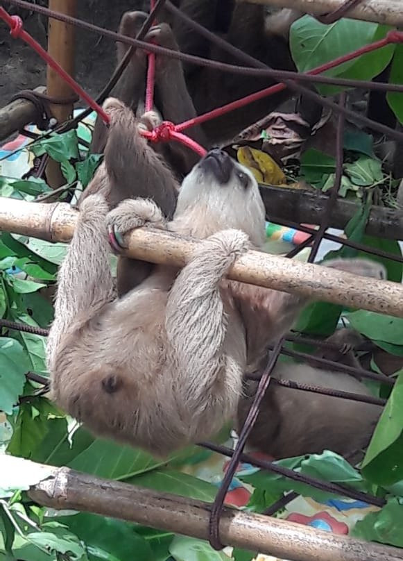 Ricky Ricardo Tours & Travels-彭塔雷纳斯必去景点