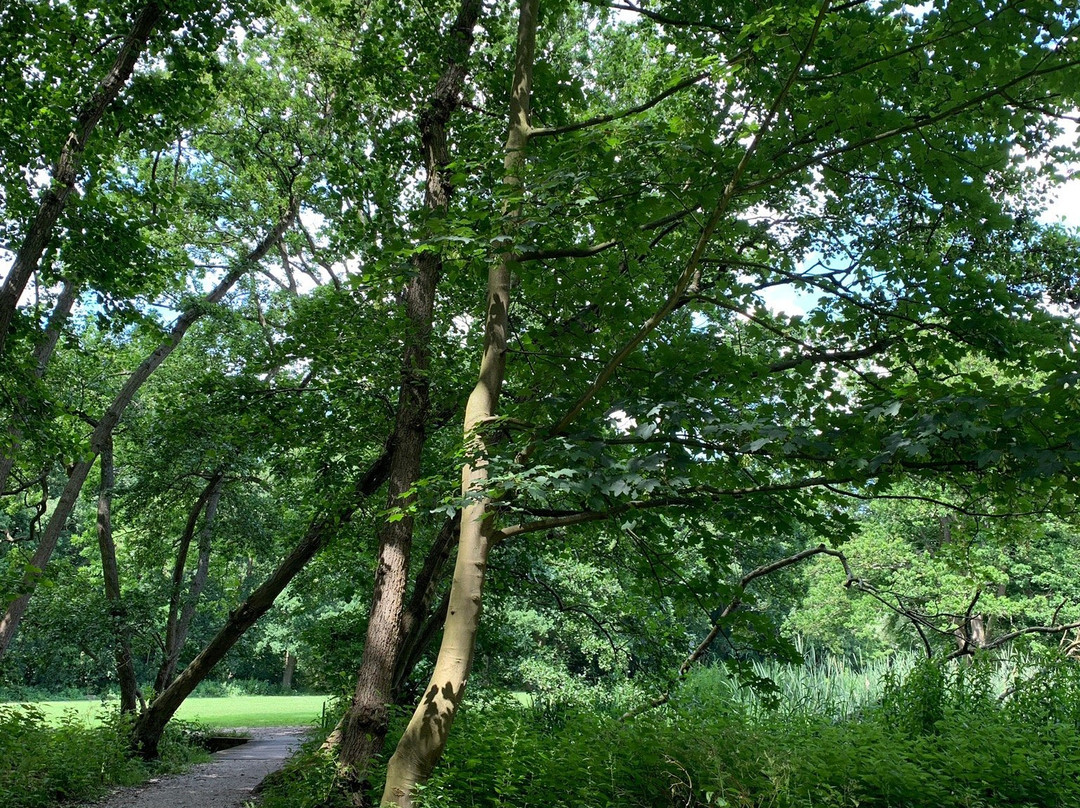 Leidse Hout Park-莱顿必去景点
