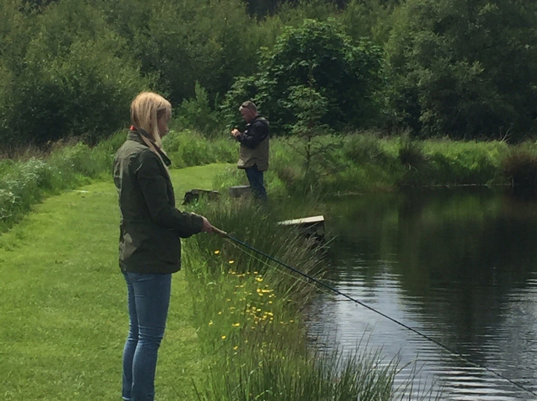 Banchory旅游景点-Raemoir Trout Fishery