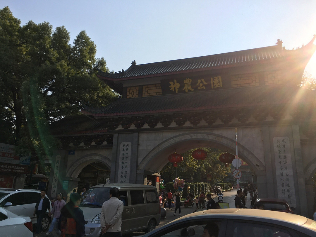 神农公园-株洲市必去景点