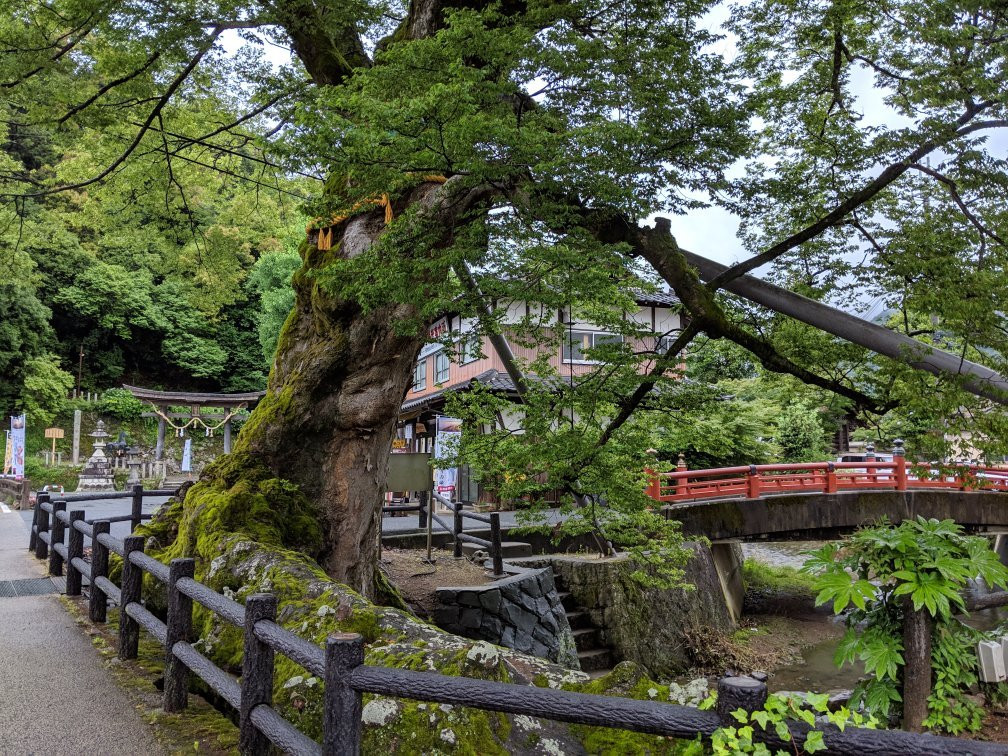 Kino Nebashi-丹波市必去景点