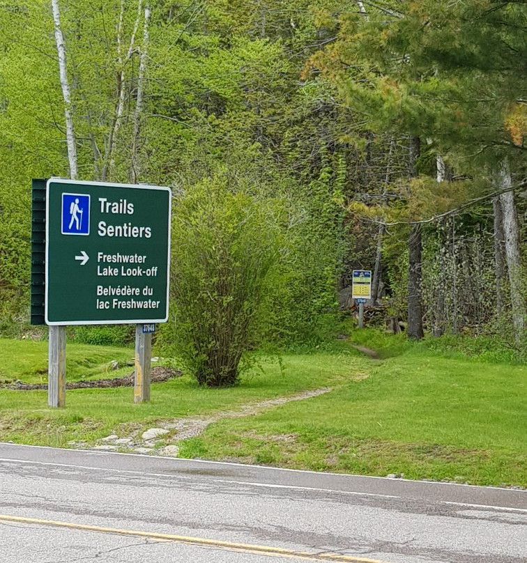 Freshwater Lake Lookoff-Cape North必去景点