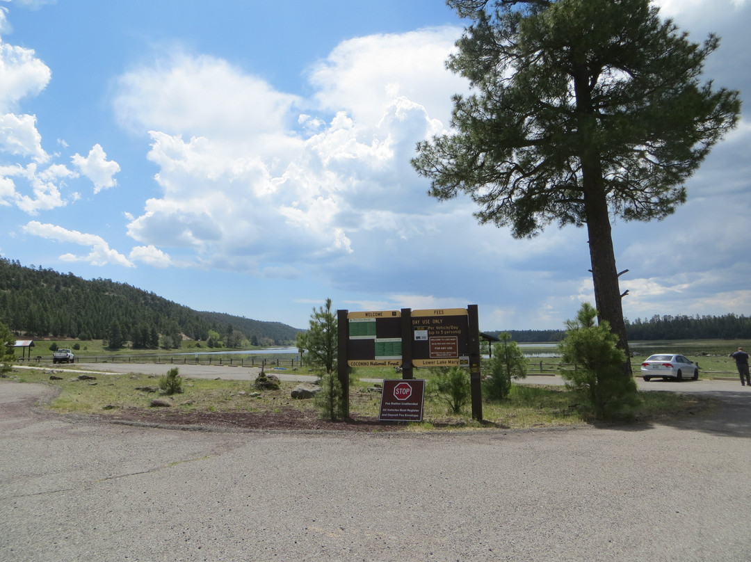 Lake Mary-弗拉格斯塔夫必去景点