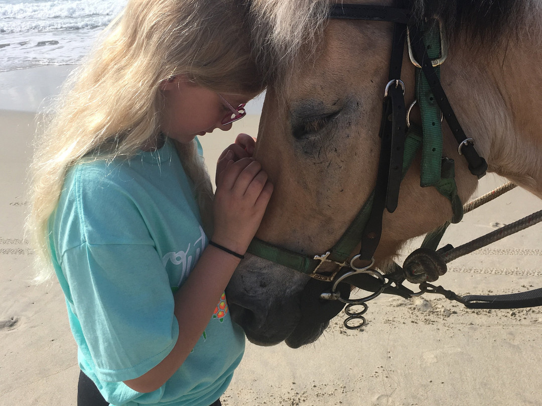 Hatteras Island Horseback Riding景点图片
