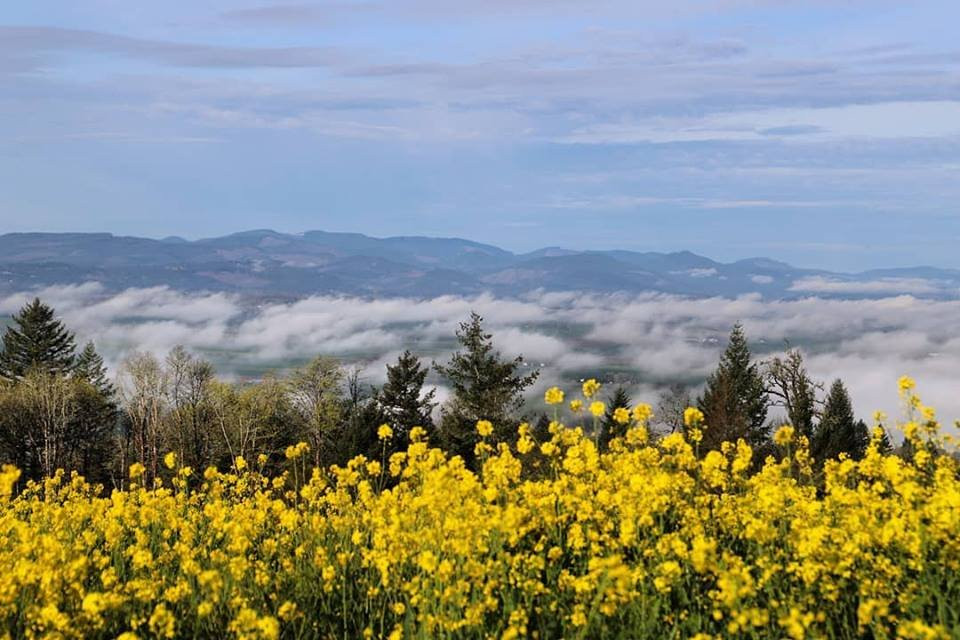 Bryn Mawr Vineyards-塞勒姆必去景点