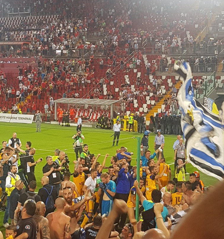 Stadio - Nereo Rocco景点图片