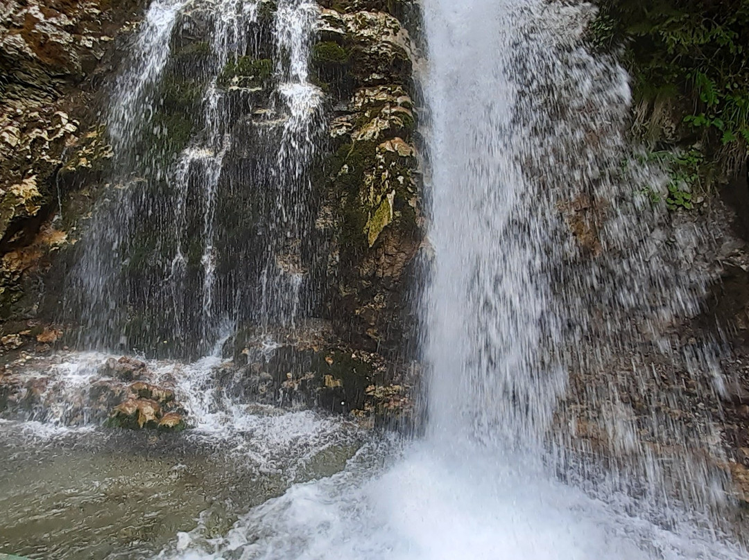 Cascada Urlatoarea景点图片