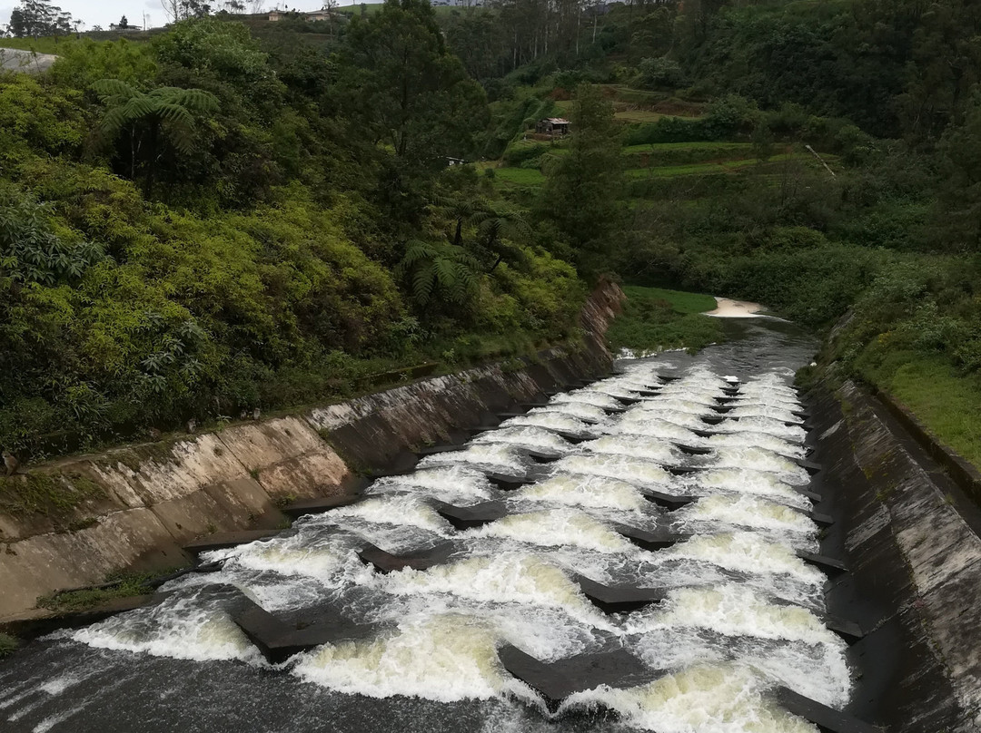 Ambewela Farms-奴娃拉伊利雅必去景点