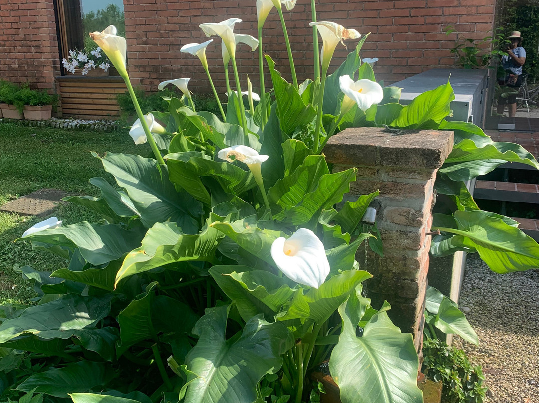 Relais Agriturismo Ormesani主图