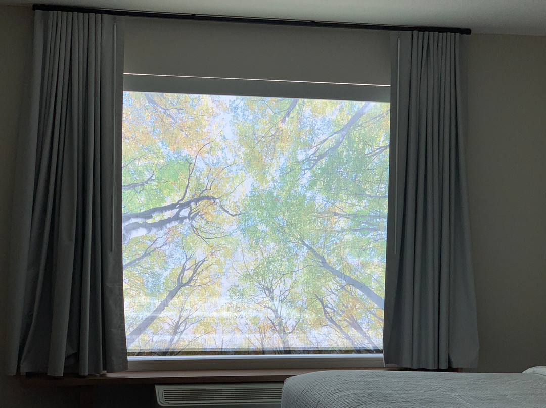 Fairfield Inn & Suites by Marriott Tampa Wesley Chapel主图