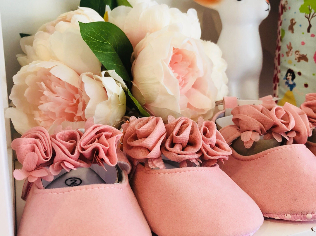 The Lyttel Kiwi Gift Shop-利特尔顿必去景点