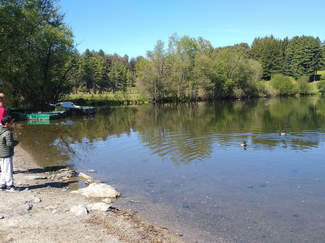 Hotel Alliance主图