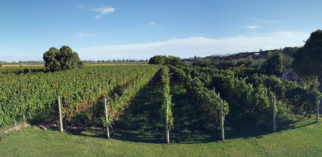 Posada Cavieres Wine Farm主图