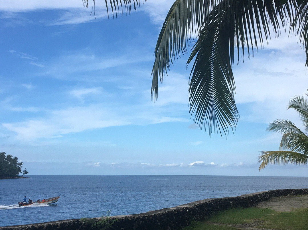 Niugini Dive Adventures-Madang必去景点