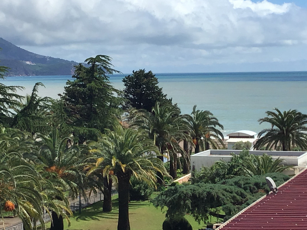 Montenegro Beach Resort主图