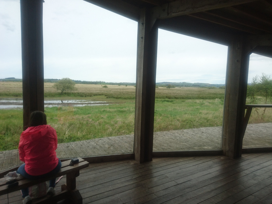 Cors Caron-Tregaron必去景点