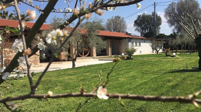 Rizziconi旅游攻略图片