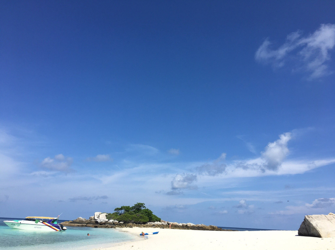 Discover Catamaran - Day Tours-他朗必去景点