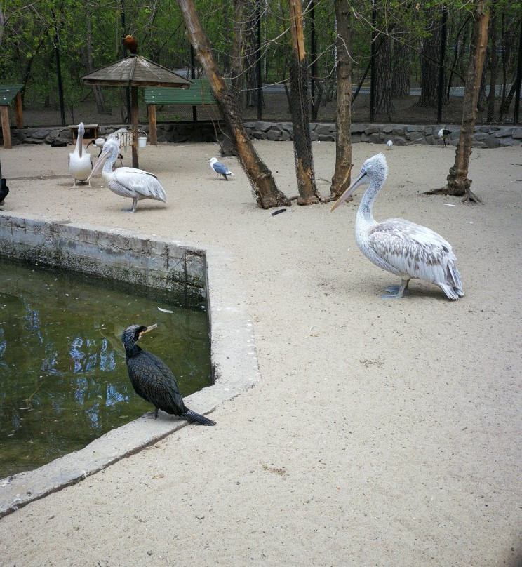 Novosibirsk Zoo景点图片