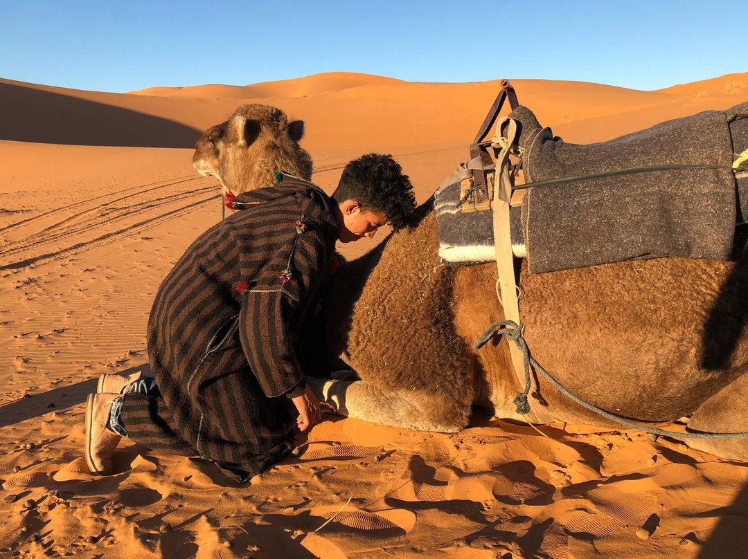 Morocco Sahara Berber Tour-卡萨布兰卡必去景点