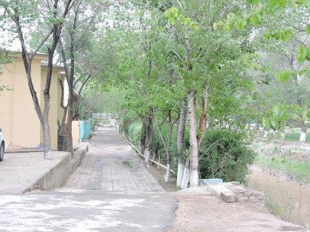 Guest House Sharofat Ona主图