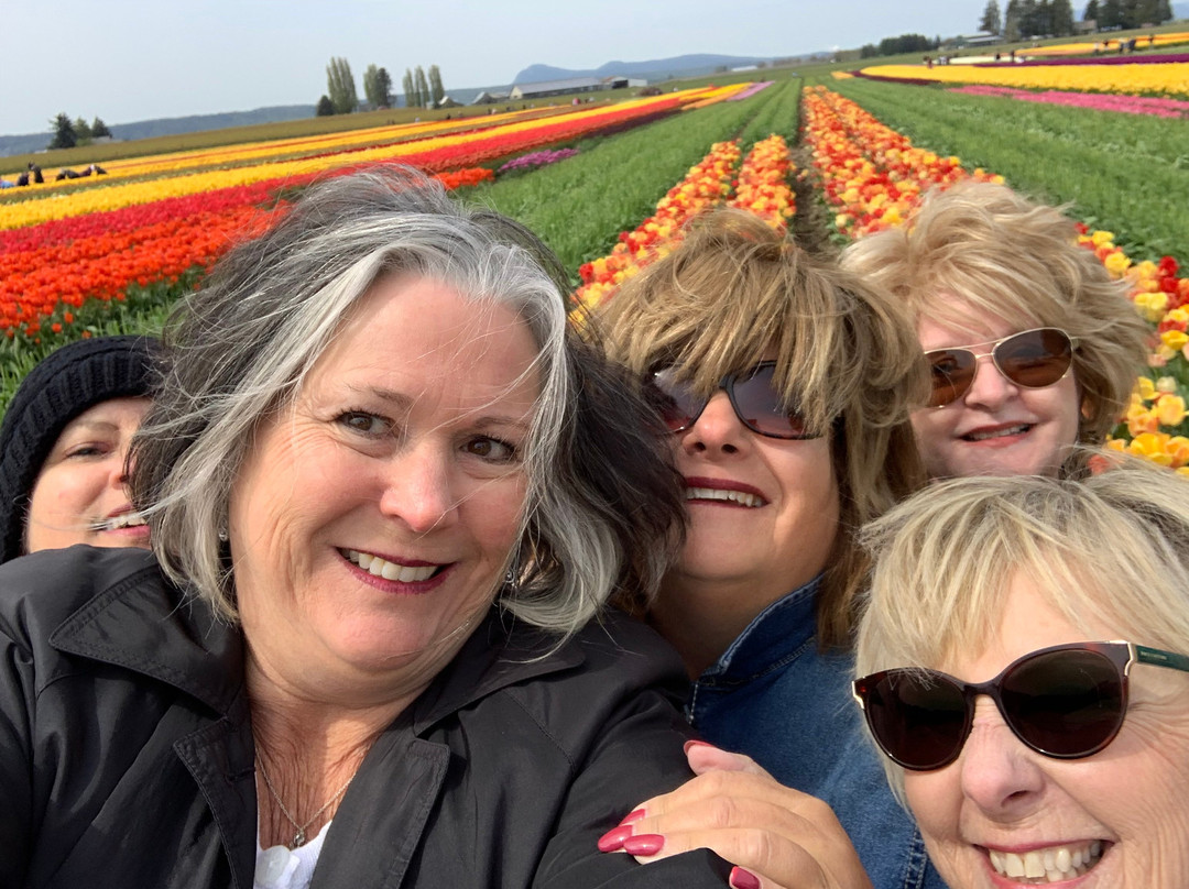 Tulip Town-弗农山必去景点