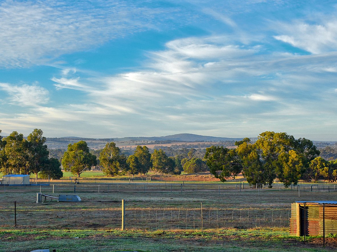Big Bird & Wolf Chalets主图
