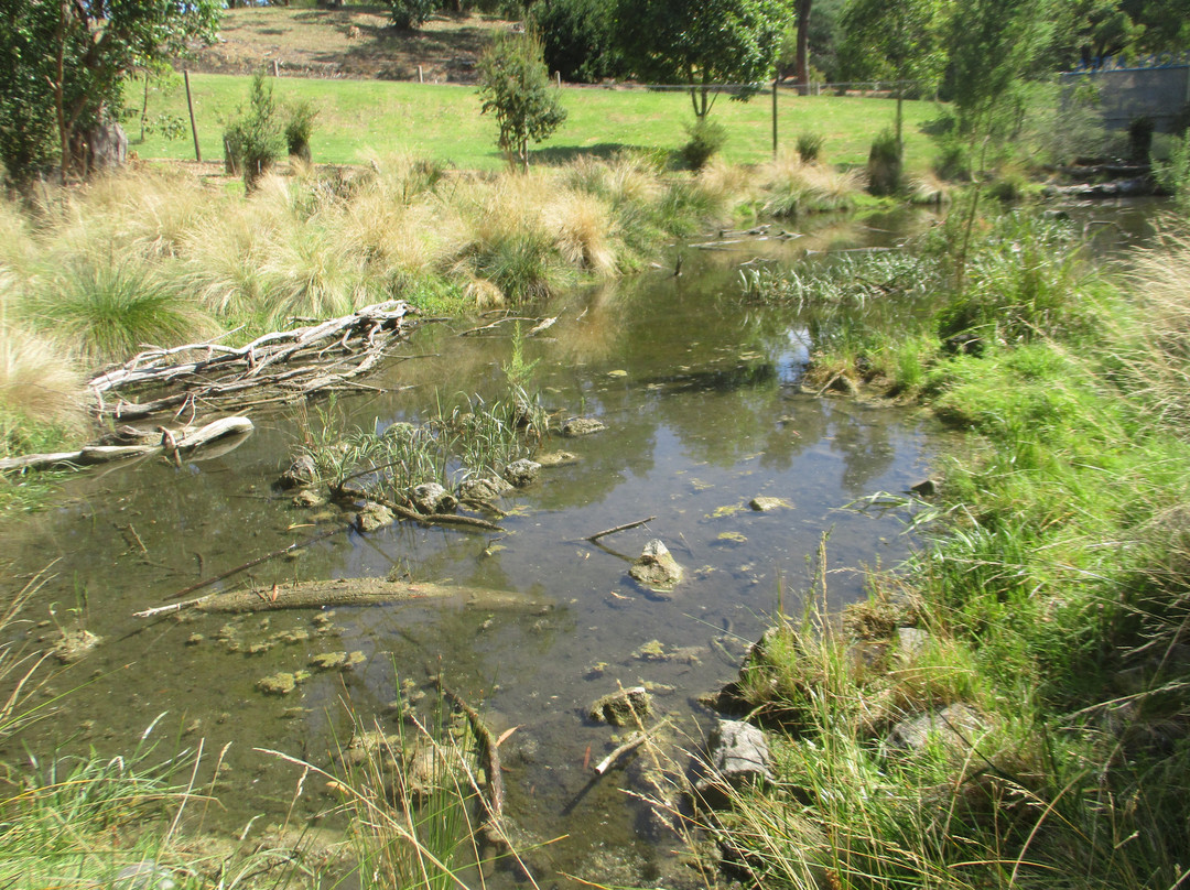 Valley Lake Conservation Park景点图片