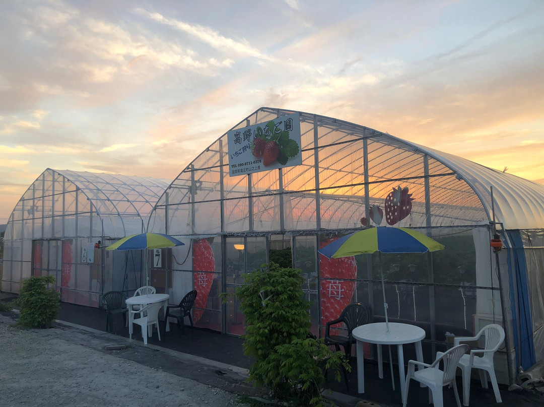 Takano Strawberry Farm-龙王町必去景点