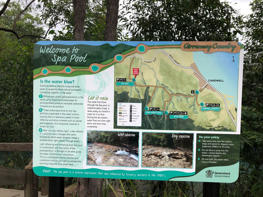 Cardwell Forest Drive-卡德威尔必去景点