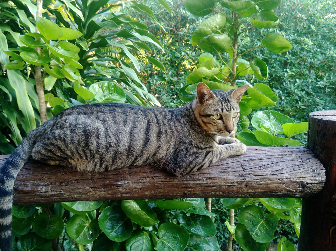 The Great Escape Chalets主图