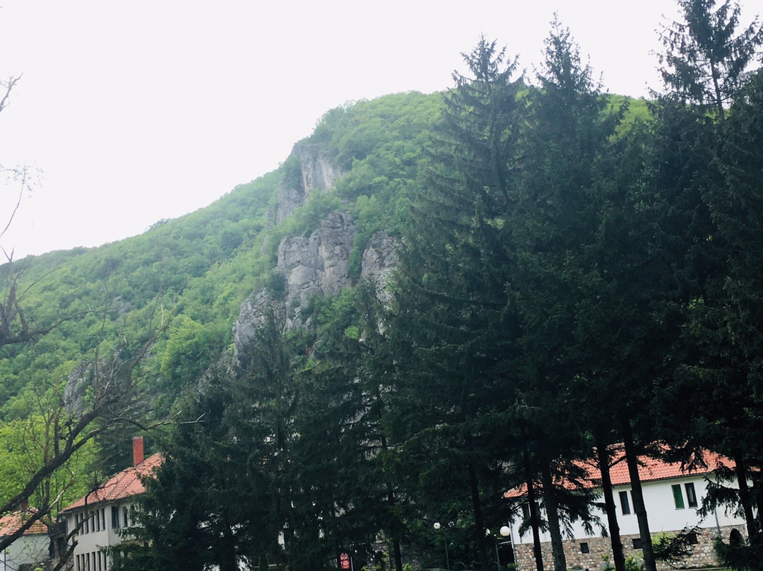 Gornjak Monastery-Petrovac必去景点