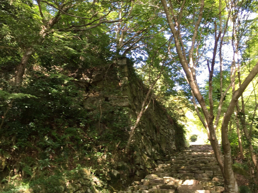 Kuwanomidera Temple-近江八幡市必去景点