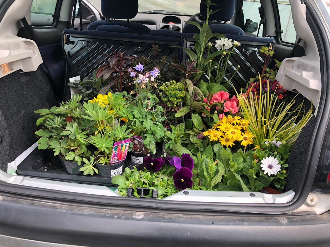 Oakgate Nursery & Garden Centre-Ellerdine必去景点