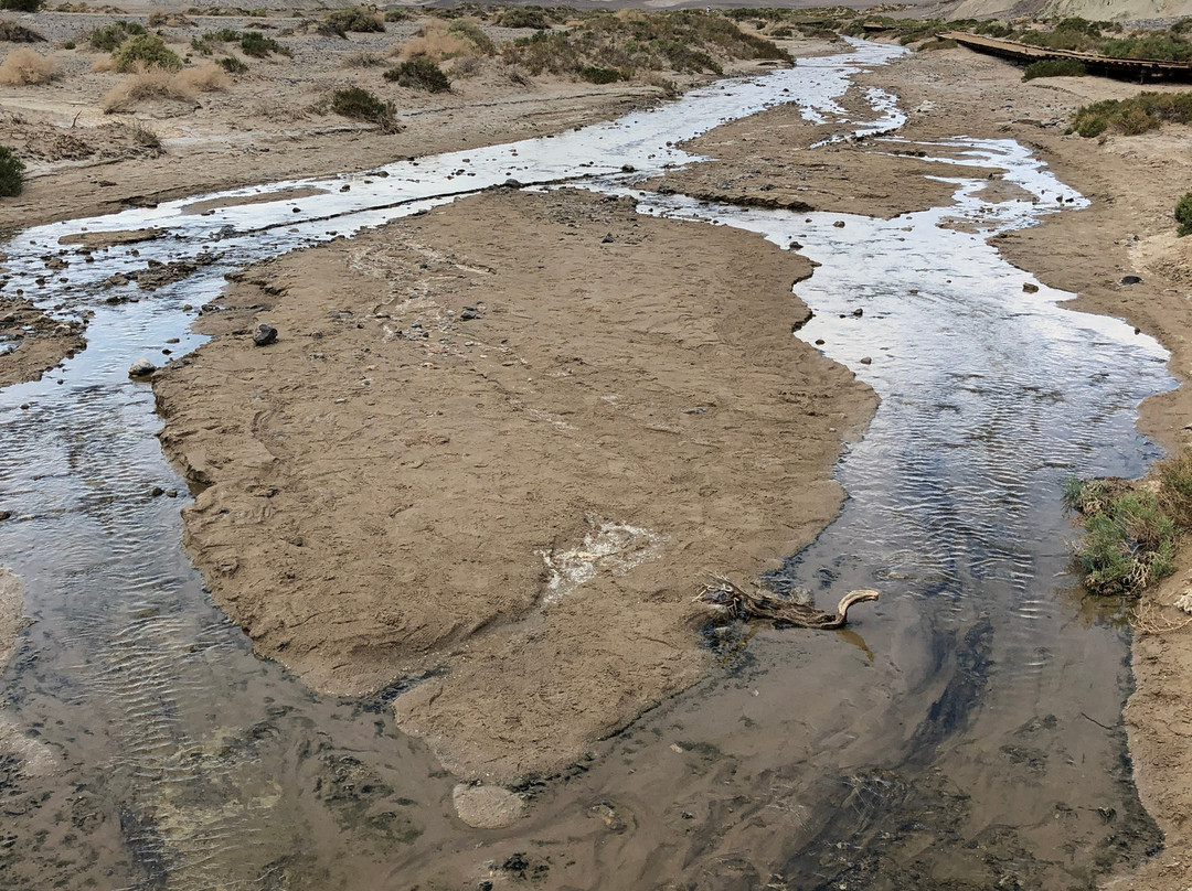 Salt Creek Interpretive Trail景点图片