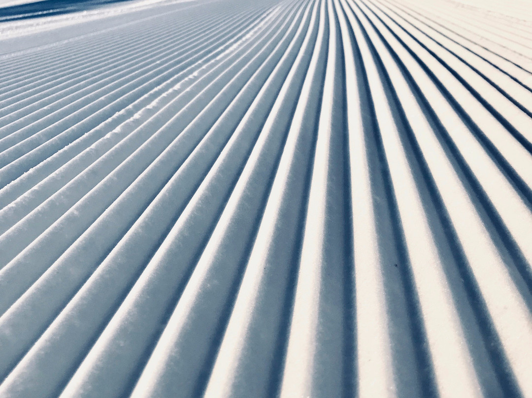 Vegarshei Ski og Aktivitetssenter-Vegarshei Municipality必去景点